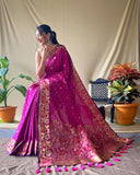 Pinaci Soft Silk Zari Border Saree
