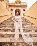 Beautiful Designer Sequence Saree