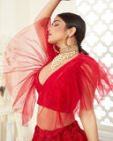 Đěsigner Lehenga -Choli With Dupatta Set