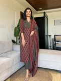 VIijendra Beautiful Suit Set
