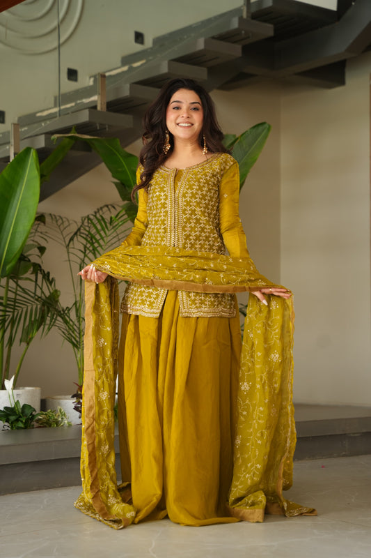 Nisha Designer Sharara Set