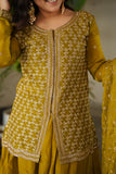 Nisha Designer Sharara Set